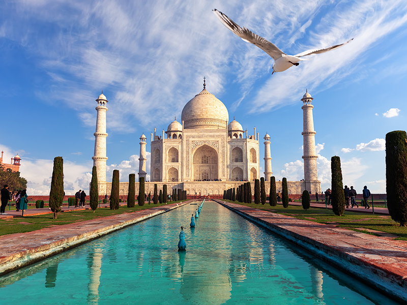 Taj Mahal mausoleum, famous India's sight, Agra.